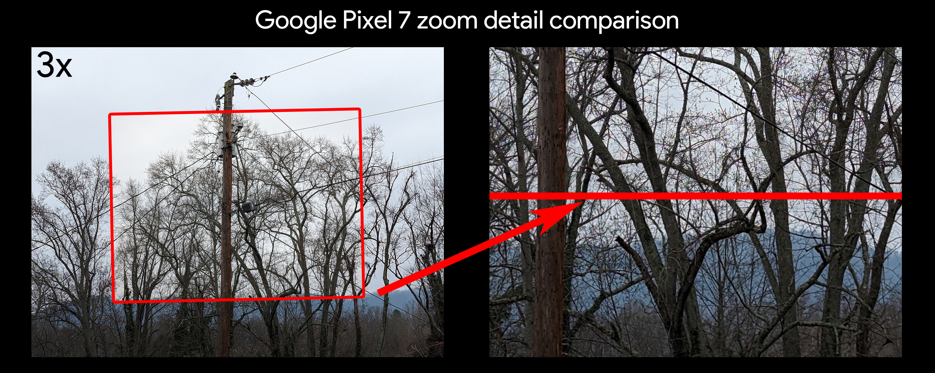 Comparando áreas de calidad de zoom 3x en un Google Pixel 7 Pro