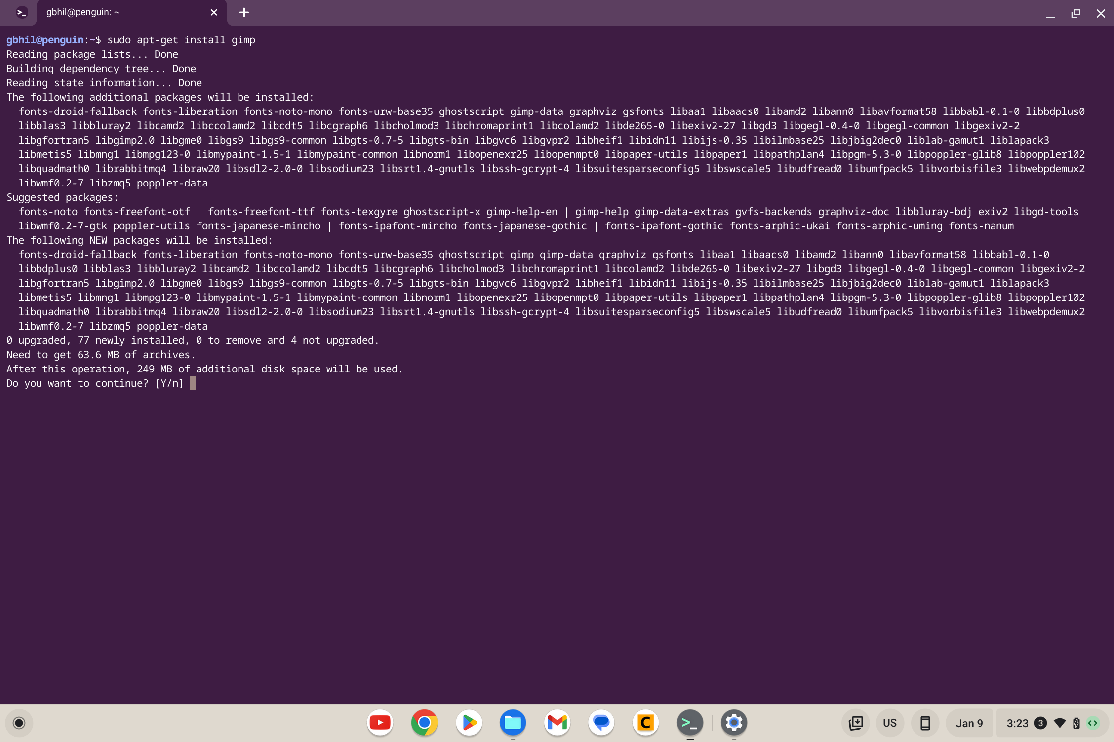 Terminal Linux en Chromebook